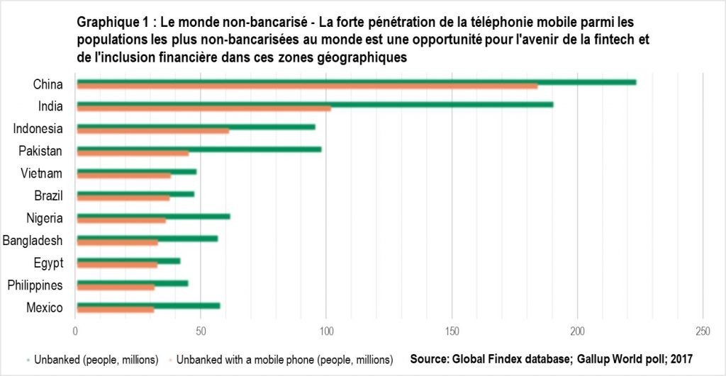 Exhibit1-the-global-unbanked-fr