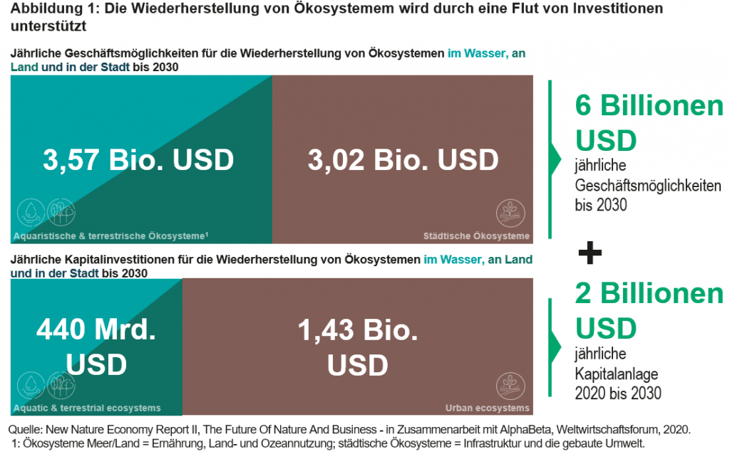 Abbildung 1 Die Wiederherstellung von Okosystemem