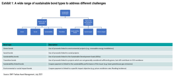 BNP Paribas and EDF ENR partner on first renewable project bond as