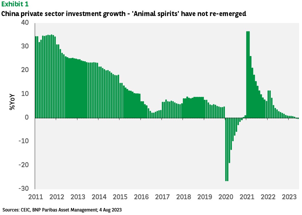 china private sector investment growth